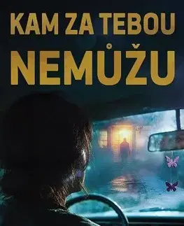 Detektívky, trilery, horory Kam za tebou nemůžu - Imran Mahmood