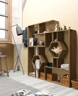 Knižnice Knižnica Tamara - Walnut