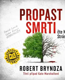 Detektívky, trilery, horory Cosmopolis Propast smrti