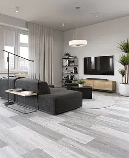 Economy vinyl FLOOR FOREVER Economy vinyl 4302