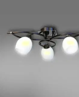 Moderné lampy do obývačky Lampa Kronos 2463 Brown Lw3