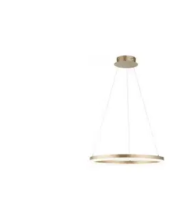Svietidlá Paul Neuhaus 2382-60 - LED Stmievateľný luster na lanku TITUS LED/38,5W/230V 2382-60