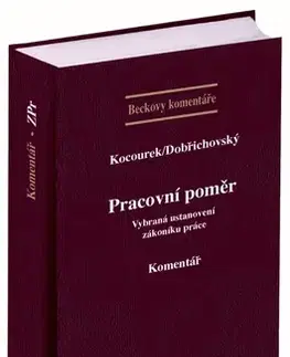 Právo ČR Pracovní poměr - Kolektív autorov