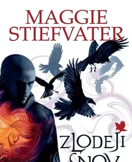 Young adults Zlodeji snov - Maggie Stiefvater