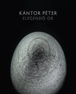 Svetová beletria Elegendő ok - Péter Kántor