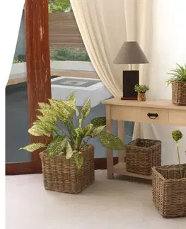 Záhrada Košík Nordic Square Ratan/Plast 20x25x25