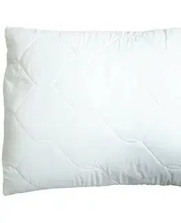 Vankúše B.E.S. Petrovice Vankúš Bella Optimal Aloe vera, 70 x 90 cm