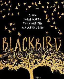 V cudzom jazyku Blackbird - N. D. Gomes
