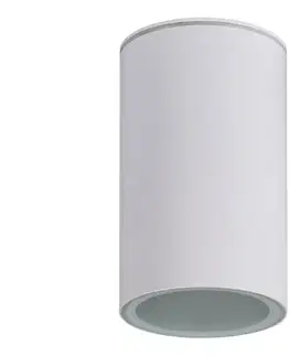 Svietidlá  36644 - Kúpeľňové bodové svietidlo AQILO 1xE27/20W/230V IP65 biela 36644