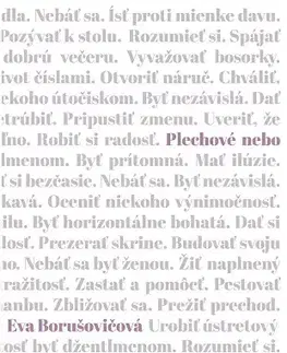 Slovenská beletria Plechové nebo - Eva Borušovičová
