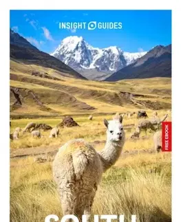Geografia, mapy, sprievodcovia Insight Guides South America: Travel Guide with eBook - Robert Savage