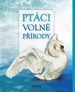 Zvukové knihy Ptáci volné přírody - Andrea Pinnington,Caz Buckingham