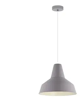 Svietidlá Eglo 54963 - Luster na lanku SOMERTON-P 1xE27/60W/230V 54963