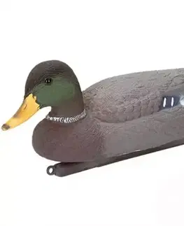 Dekorácie na jazierka Dekorácia káčer Mallard duck