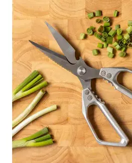 Dózy na potraviny Gudaro - Nožnice na hydinu SHOGUN 23,3 cm strieborné GD-CUT-08