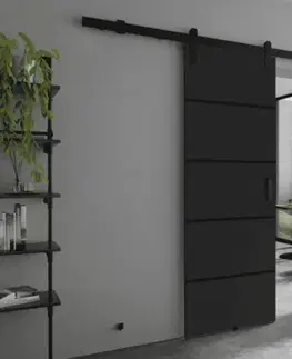 Posuvné dvere KIER Posuvné dvere LORNI PLUS DUO | 172 cm Farba: Grafit