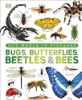 Príroda Our World in Pictures Bugs, Butterflies, Beetles and Bees - Ben Ffrancon Dowds,Andrea Mills,Lizzie Munsey