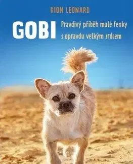 Romantická beletria Gobi - Dion Leonard