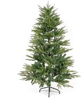 Vianočné dekorácie Vianočný stromček Smrek sivý, 150 cm 