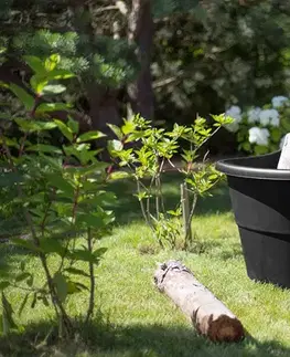 Záhradné vozíky KETER Vozík CASUAL BREEZE 50 L | čierna 900