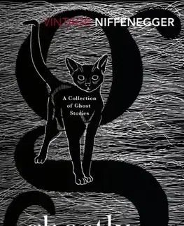 Cudzojazyčná literatúra Ghostly - Audrey Niffenegger