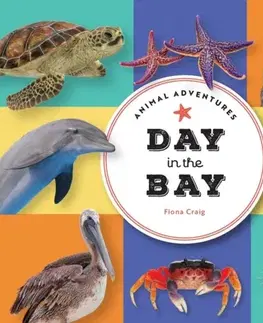 Leporelá, krabičky, puzzle knihy Animal Adventures: Day in the Bay - Fiona Craig