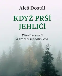 Česká beletria Když prší jehličí - Aleš Dostál
