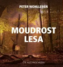 Audioknihy Knihy Kazda Moudrost lesa - audiokniha