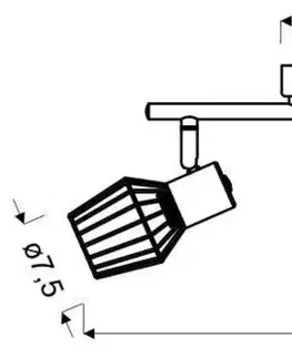Nástenné svetlá Nástenná lampa 2X40W E14 sivá VIKING