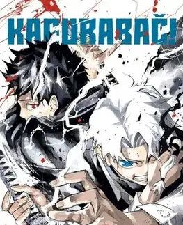 Manga Kagurabači 4: Rovnost - Takeru Hokazono,Matěj Vozábal