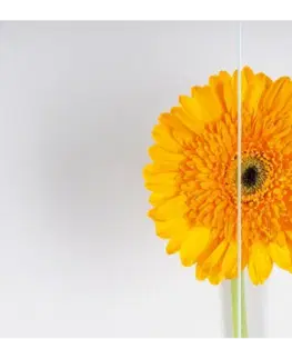 Sprchové dvere H K - Vaňová zástena PURE V1 75x140 - jednodielna, číre sklo PUREV175