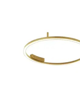 Svietidlá  NEO 07291-80G - LED+CCT stmievateľné stropné svietidlo FINO 55W/230V Tuya priemer 80 cm s diaľkovým ovládaním 07291-80G