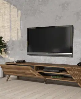 TV stolíky TV stolík Beril 2 - Walnut