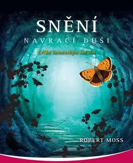 Náboženstvo - ostatné Snění navrací duši - Robert Moss