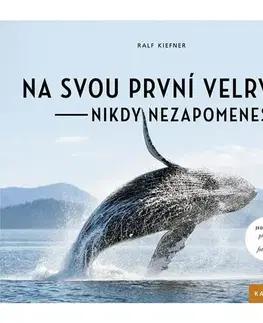 Biológia, fauna a flóra Na svou první velrybu - nikdy nezapomeneš - Ralf Kiefner