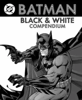 Beletria - ostatné Batman: Black & White Compendium - G Willow Wilson,J. H. Williams