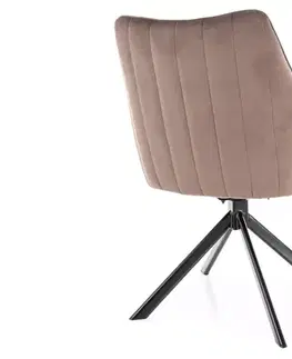 Jedálenské stoličky a kreslá Stolička Azalia Velvet
