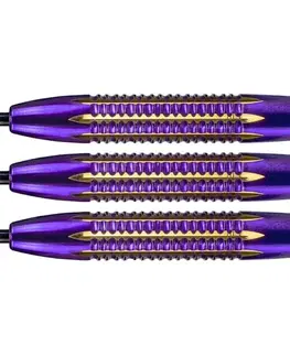Šípky Bull's Aubergenius SC Dirk Van Duijvenbode Steel 3ks 21 g