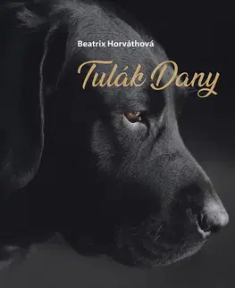 Slovenská beletria Tulák Dany - Beatrix Horváthová