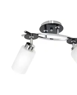 Svietidlá  Stropné svietidlo TOKIO 2xE27/60W/230V 690