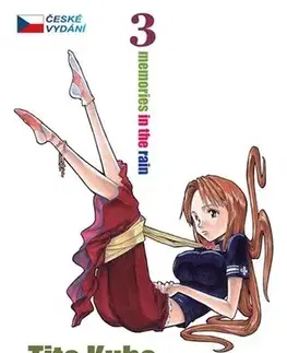 Manga Bleach 3. - Memories in Rain - Kubo Tite