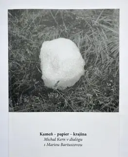 Výtvarné umenie Kameň-papier-krajina. Michal Kern v dialógu s Mariou Bartuszovou - Daniela Čarná,Gabriela Garlátyová