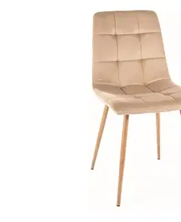 Jedálenské stoličky BIOLA D jedálenská stolička, svetlošedá 