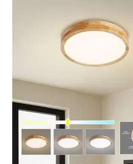 Svietidlá BRILAGI - LED stropné svietidlo WOODLINE LED/24W/230V 3000/4000/6000K, v dekore dub, priemer 30 cm BRI894