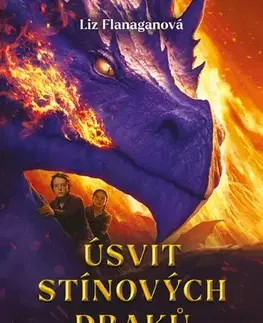 Young adults Úsvit stínových draků - Liz Flanagan