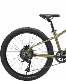 Detské bicykle Genesis Evolution JR24 Disc Mountainbike 24" Veľkosť: 24
