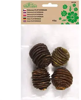 Bytové dekorácie Dekorácie sušiny platyspernum small prírodné 4ks