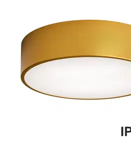 Svietidlá  Kúpeľňové stropné svietidlo CLEO 2xE27/24W/230V pr. 30 cm zlatá IP54 5907623620194
