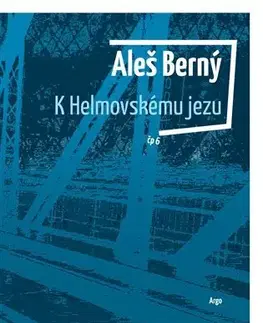 Poézia K Helmovskému jezu - Aleš Berný