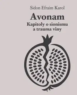 História Tympanum Avonam: Kapitoly o sionismu a trauma viny